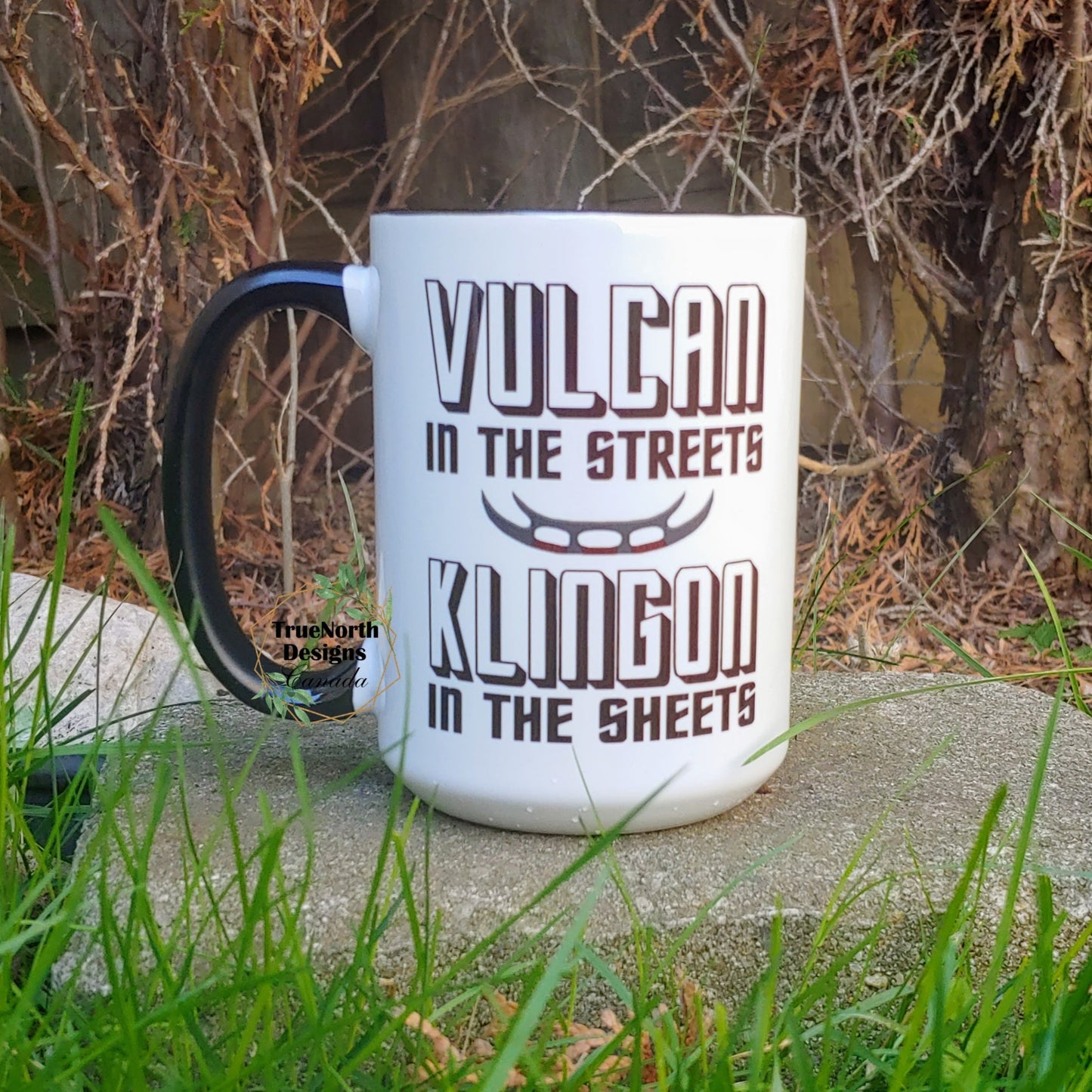 Vulcan In The Streets, Klingon In The Sheets Mug