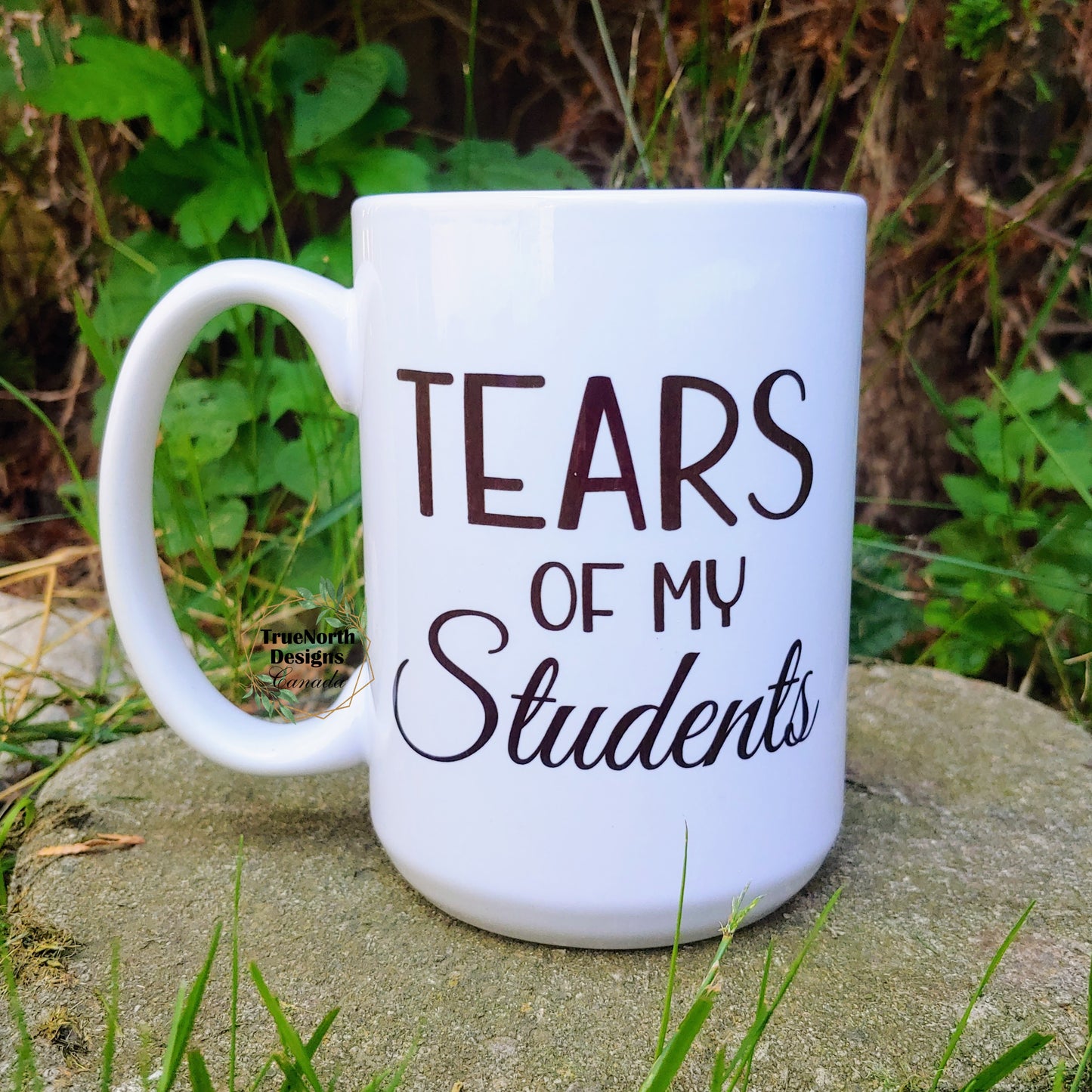 Tears Of My Students Mug