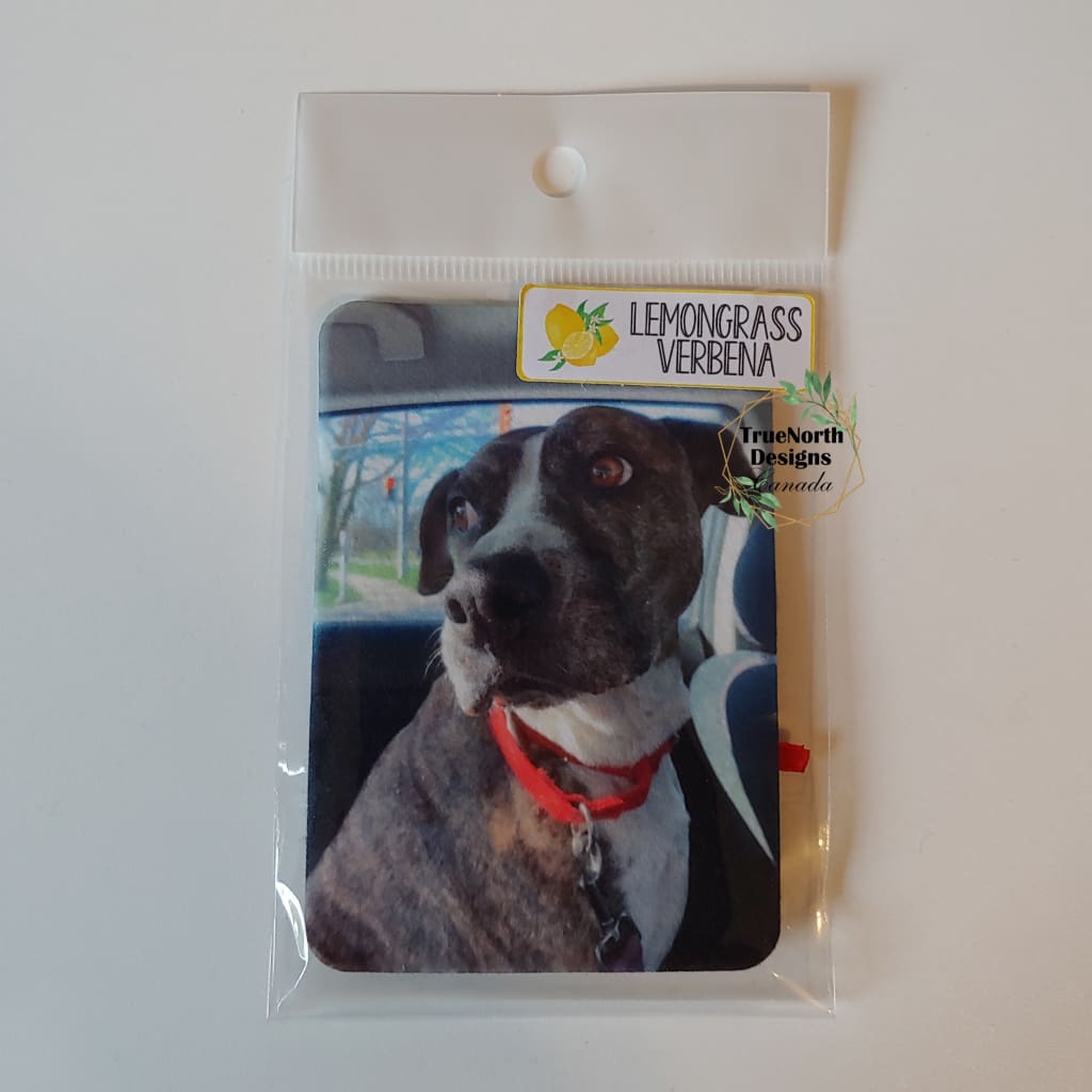 ...Double-Sided Photo Air Fresheners TNDCanada