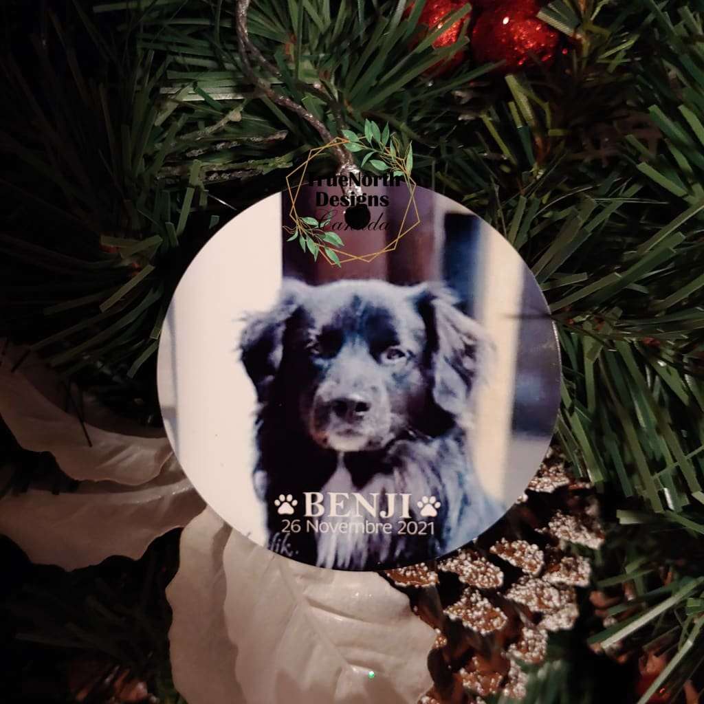 Forever In Our Hearts Pet Memorial Photo Ornament TNDCanada