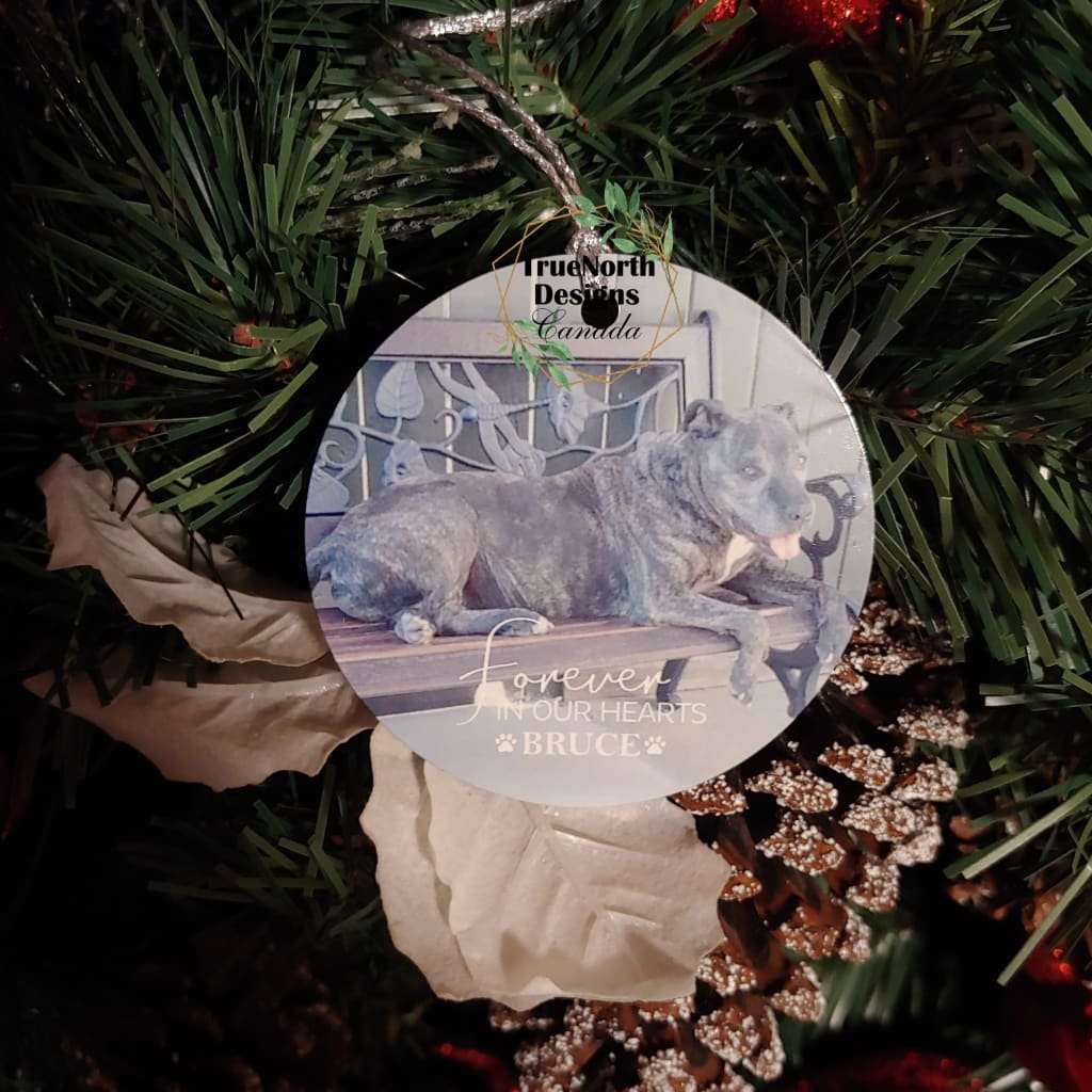 Forever In Our Hearts Pet Memorial Photo Ornament TNDCanada