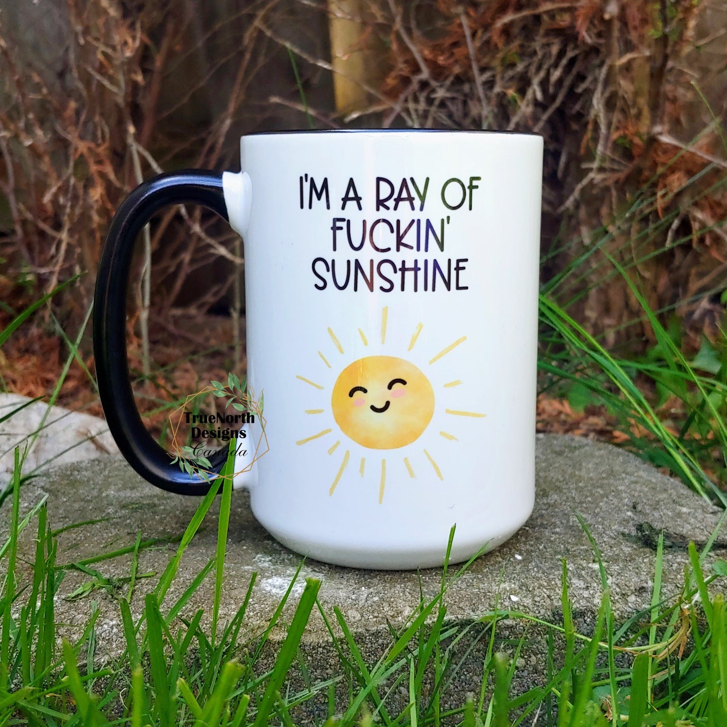 I'm A Ray of Fuckin' Sunshine Mug