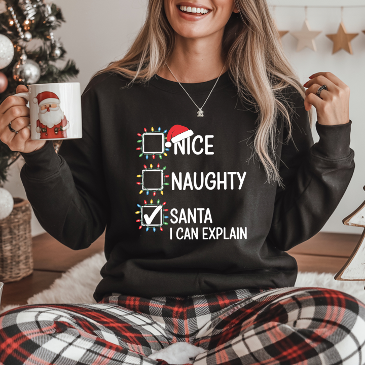 Santa I Can Explain