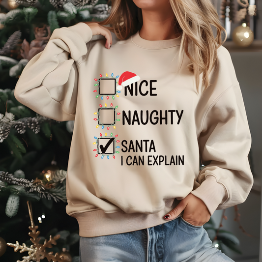 Santa I Can Explain