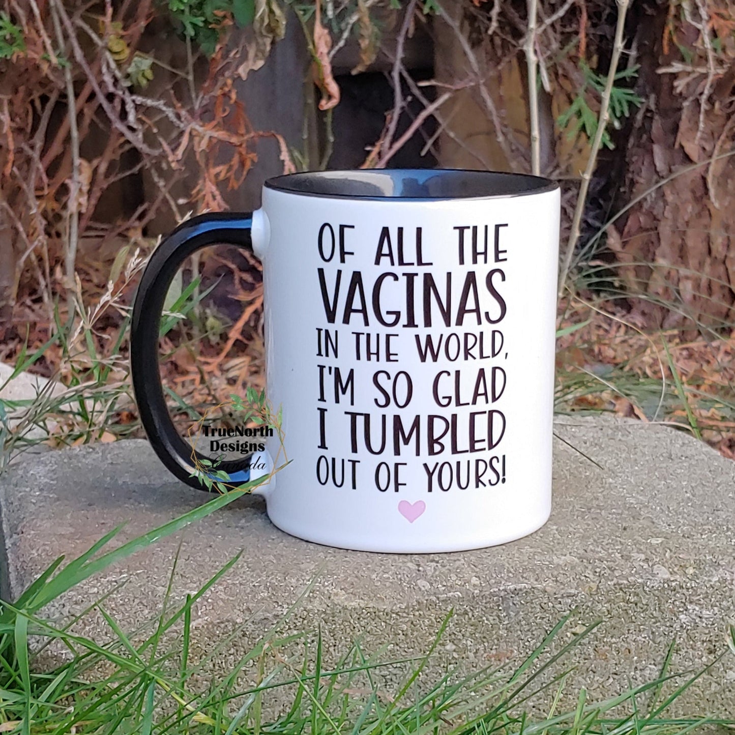 Of All The Vaginas In The World I'm So Glad I Tumbled Out Of Yours Mug TNDCanada
